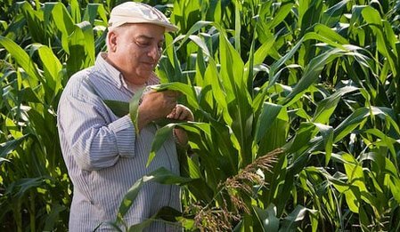 Hayattan Korkma izle